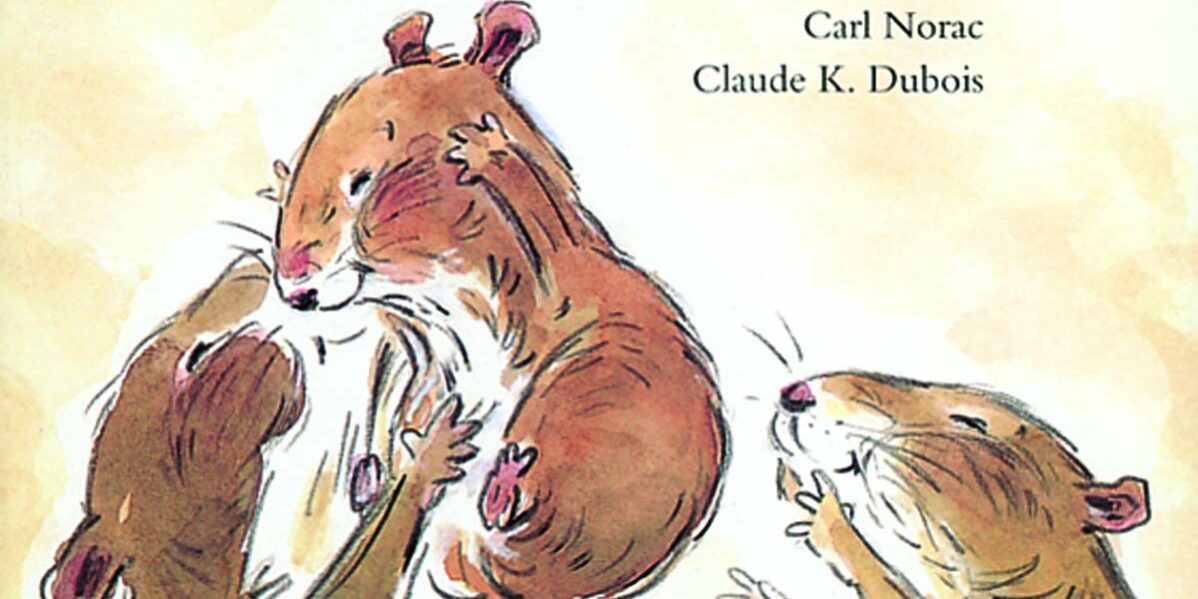 Photo couverture livre