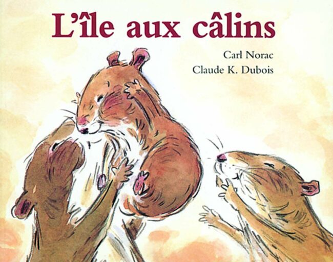 Photo couverture livre