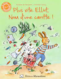 Photo couverture livre